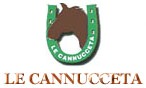 logo.JPG (7980 bytes)