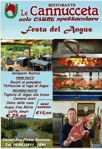 Festa Angus
