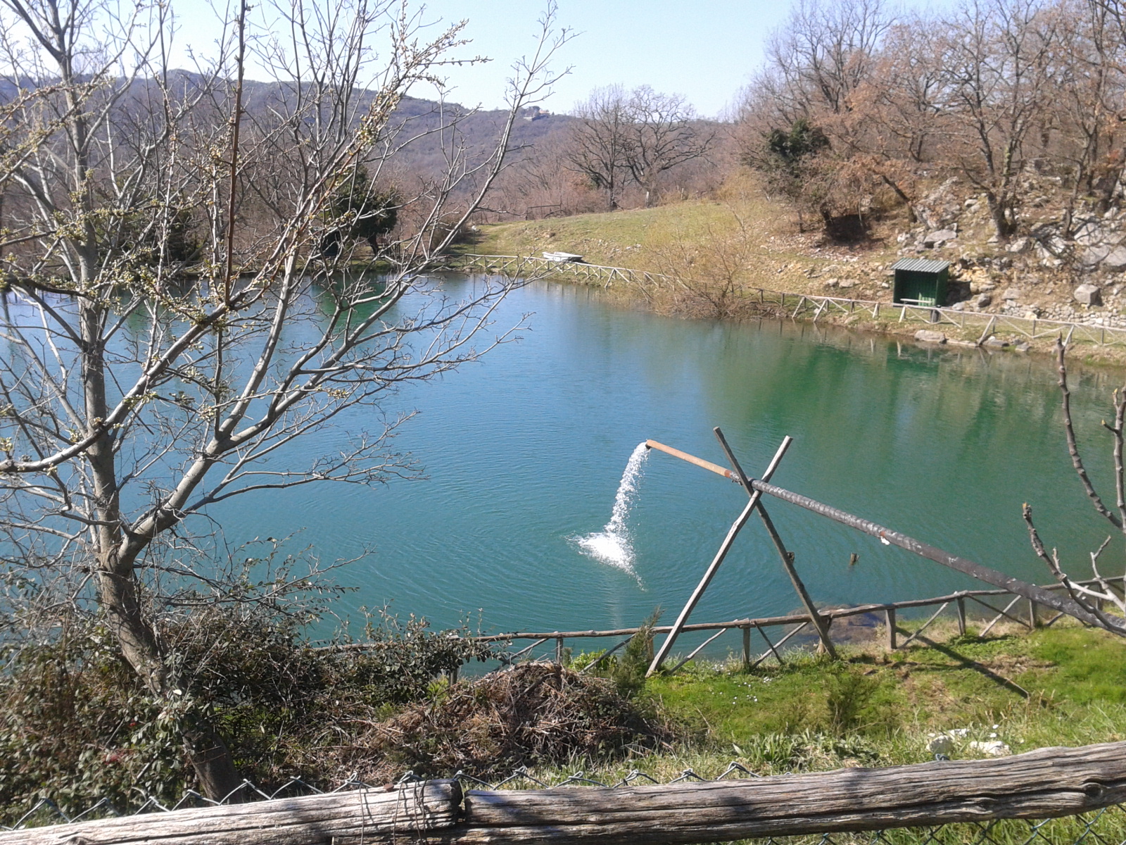 lago 5